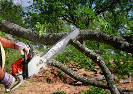 Best Tree Mulching  in Mvern, AL